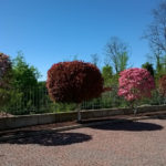 wp_20160419_16_01_22_pro